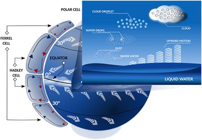 Precipitation forecasting: from geophysical aspects to machine learning applications